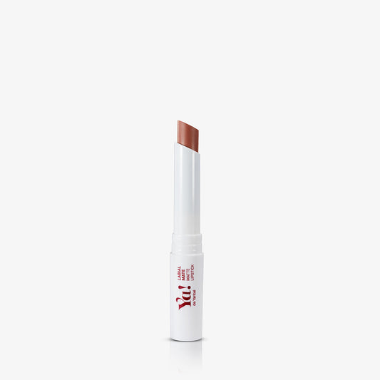 Yanbal Ya Labial Matte Canela 2gr